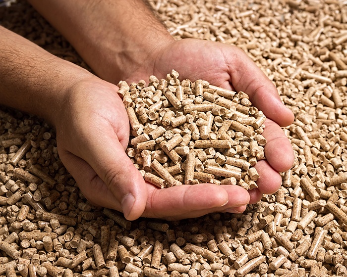 What is Biomass Fuel